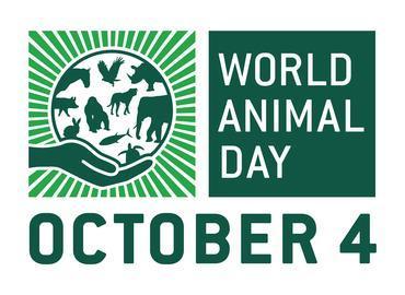 World Animal Welfare Day was held on 4 th October 2017 at Bharath Institute of