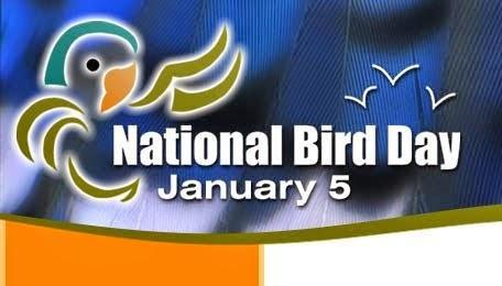 National Bird s Day was celebrated on 5 th January 2018 at