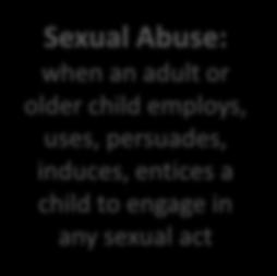 adult or older child employs, uses, persuades,