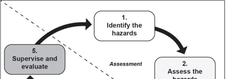 Figure 7-2: Assessment Steps and Management Steps a.
