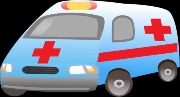 Clinical Situation that Exemplifies the Role Case Scenario: Our network is currently contracted with an ambulance company that continues to have long delays in transporting patients from the hospital