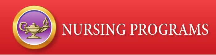DEPARTMENT OF NURSING: MISSION, PHILOSOPHY, AND DEFINITIONS OF EDUCATION The mission of the York College Department of Nursing Baccalaureate in nursing programs is to offer a liberal arts-based