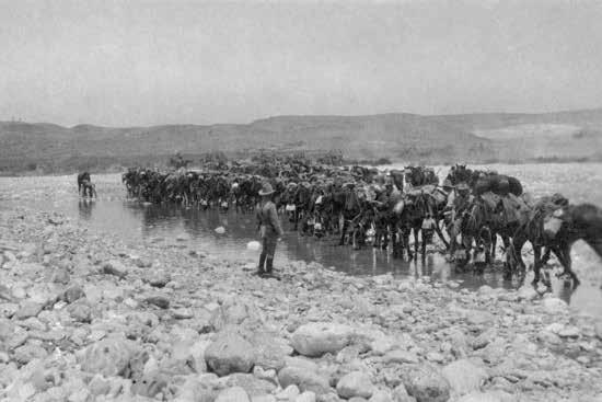 FIGHTING IN THE MIDDLE EAST 13 Unlike their counterparts in France and Belgium, the Australians in the Middle East fought a mobile war against the Ottoman Empire in conditions completely different