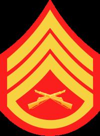 c/lt Edmund Tseng NAVY & MARINE CORPS RATES AND RANKS ENLISTED RATES NAVY RATE NAVY INSIGNIA