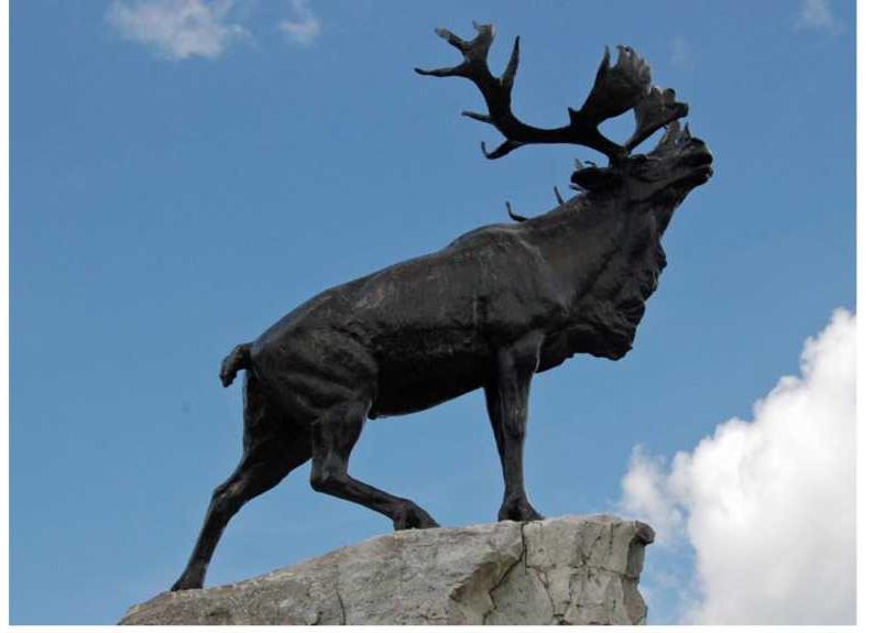 The Caribou, an animal native to Newfoundland, features on