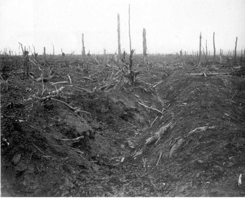 Source 4: Remains of German trenches in Delville Wood, September 1916. The impact of the heavy shelling described by Ernst Junger in Source 3.