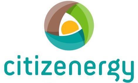 Project Title: THE EUROPEAN PLATFORM FOR CITIZEN INVESTMENT IN RENEWABLE ENERGY Project Acronym: Citizenergy Contract Number: Subject: D1.