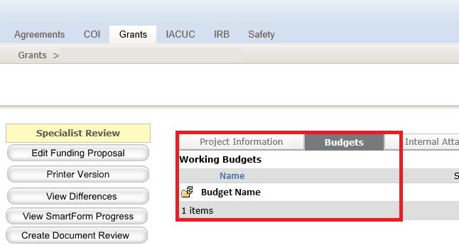 0 (*) Budget Title This defaults to Sponsor name, this can be left as is or changed. 2.