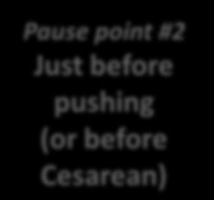 Cesarean) Delivery Pause point #3