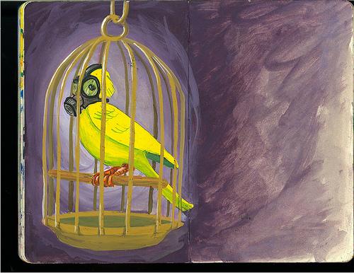 Today s Nursing Home: The Canary in the Coal Mine for Long Term Care?