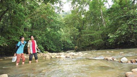 here. Kuala Woh Recreational Forest offers plenty of trail paths for visitors to