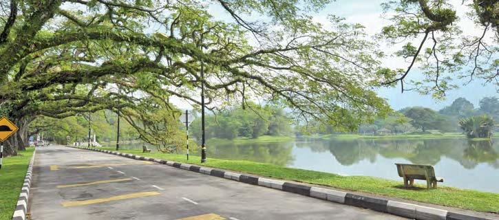 Huge angsana trees, which are over 100 years old, frame this beautiful park with their roots