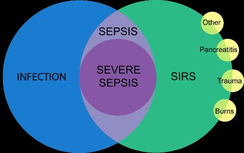 Sepsis: A Complex Disease This Venn diagram provides a conceptual framework to view the relationships between various components of sepsis.