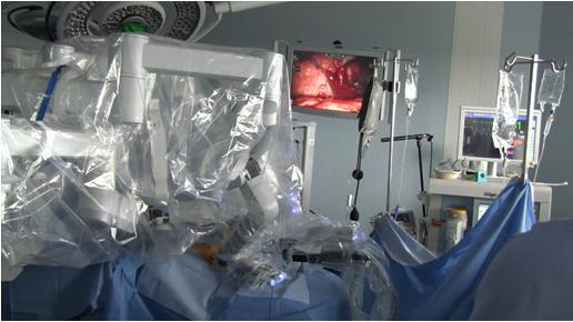 shown in Figure 4. In general, the surgeon worked independently, requesting instrument changes or irrigation/suctioning to be performed from the assistant or scrub nurse as needed.