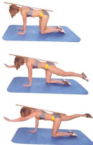 Chose appropriately Core stability These exercises are aimed at strengthening muscles that are important