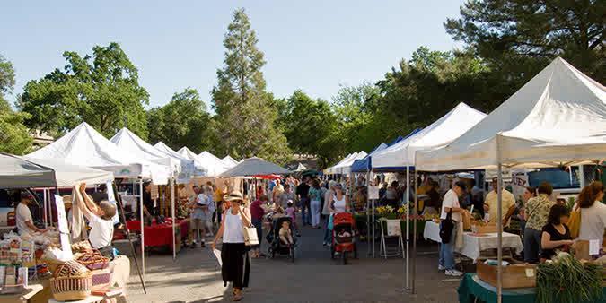 Farmers Markets on our Lots Partnered with farmers market organizations to host weekly