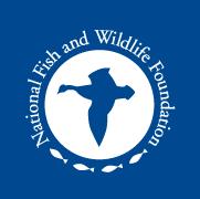 Environmental Solutions for Communities The National Fish & Wildlife Foundation and Wells Fargo will award grants to support highly visible projects that link economic development and community