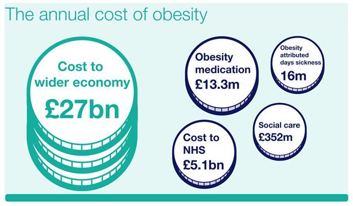 organisations Access to weight management services Public campaigns to support healthier choices Promotion of activity (as part of healthier lifestyle) Leadership to tackle the