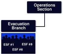 ESF #13: Public Safety and Security ESF Coordinator: Department of Justice Facility and resource security Security planning and technical resource assistance Public safety and security support