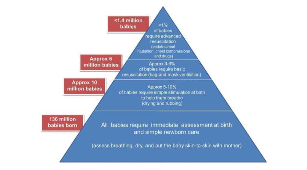 Figure 4. Estimates of global numbers of babies needing resuscitation at birth. Source: Wall et al., 2009.