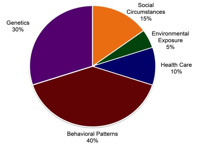 Determinants of Health Factors Influencing
