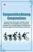 Autonomy and Independence Co-ops are autonomous, self-help organizations controlled by their members.