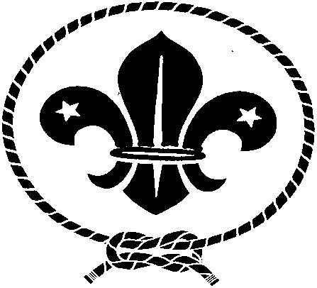 CONSTITUTION OF THE SCOUT ASSOCIATION