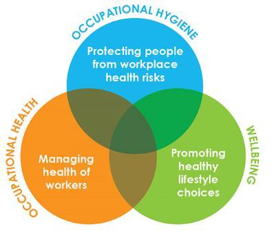 Program Health Risk Management Initial health risk assessment to drive decisions on controls, monitoring, and health surveillance.