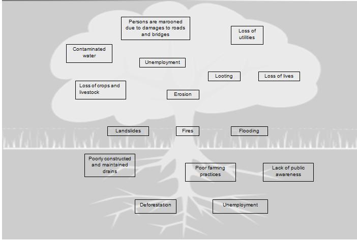 Community Problem Tree The problem tree visualizes and identifies the hazards that are problematic to the community