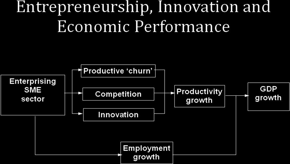 Figure 1: Source: UK Small Business Service It is important to consider the role of entrepreneurship at the micro- as well as the macrolevel.