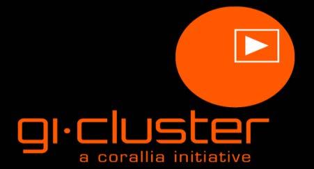 Cluster Facilitator Initiation: 2004 Sector: Nano/Microelectronics based