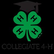 offices, and meet teens from other states. The 2017 cost to youth was $1025, with financial assistance from the Illinois 4-H Foundation. Our 2018 costs have not been finalized.