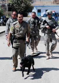 24 FORWARD OPERATING BASE MAREZ, MOSUL, Iraq Mosul s Iraqi Police canine unit received a helping hand from a Cub Scout Pack in Texas and U.S. Soldiers based at Task Force Lightning s Command Post-North, near Mosul, Iraq, in the form of more than 225 pounds of dog food, Aug.