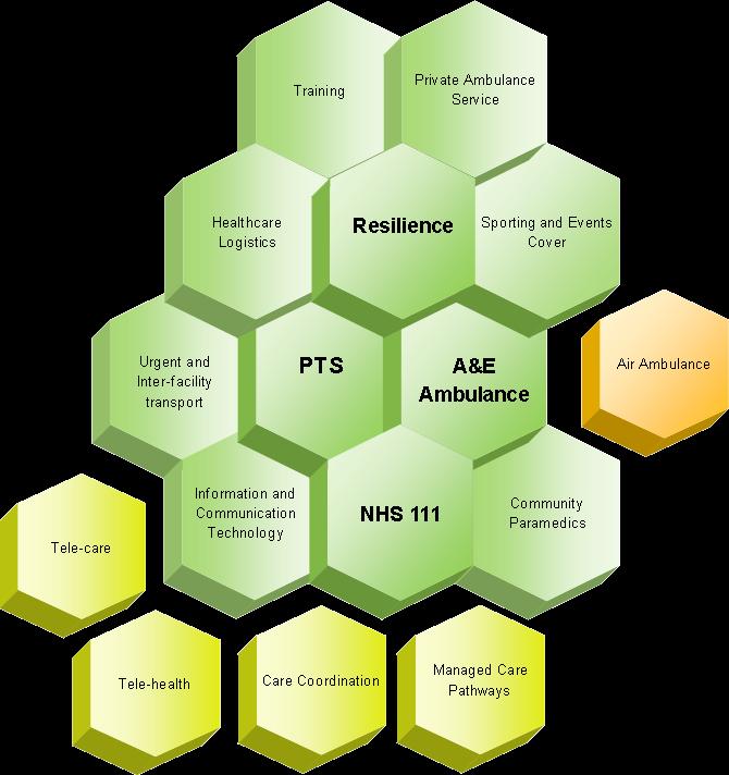 Range of Services Figure 1: Range of Services Provided Table 1: Our Core Patient Services Service Budget 2014/15 m A&E Operations 161,123 PTS 26,379 Resilience and Special Services 4,618 NHS 111