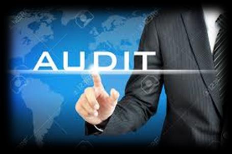Bureau of Internal Audit The Bureau of Internal Audit, under the direction of the Inspector General, assists the Secretary and the Department in deterring and detecting fraud, waste and abuse and