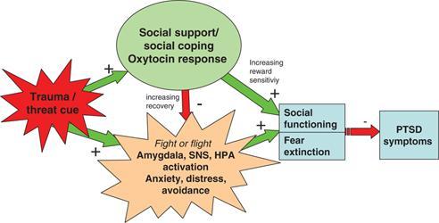 Effects of Social Support & Oxytocin Model of Social Support