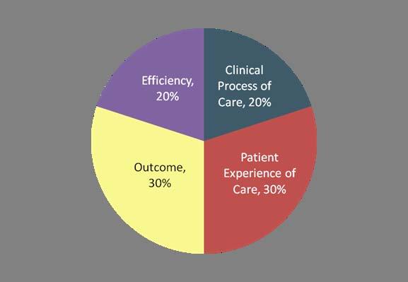 FY 2015 Finalized Domains and Measures/Dimensions 12 Clinical Process of Care Measures Domain Weights 8 Patient Experience of Care Dimensions 1.