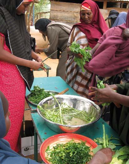 Food and cash vouchers Article summaries ACF, Daddab, Kenya, 2008 Fresh food vouchers for refugees in Kenya Original article by Lani Trenouth, Jude Powel and Sile Pietzsch (ACF).