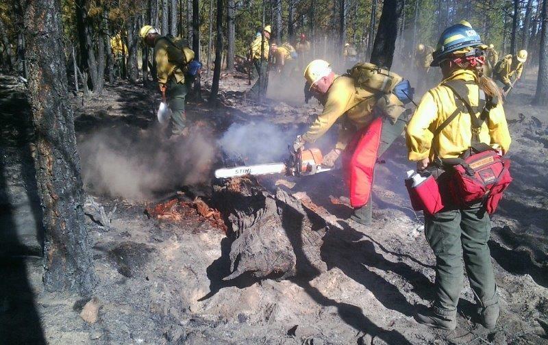 SEASONAL RECRUITMENT Adults in Custody Fire Team Do you need a job skill? Would you like to work in the forest? Do you want to be trained to fight fires?