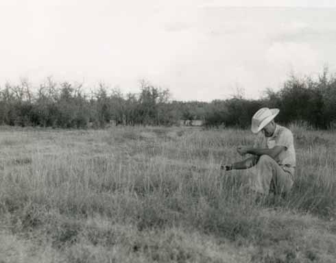 The Merrill Grazing System became one of the most widely used