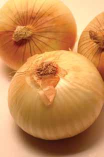 Vidalia onions are now available in all 50 states and in most of Canada. A. D. Folweiler is appointed Texas state forester.