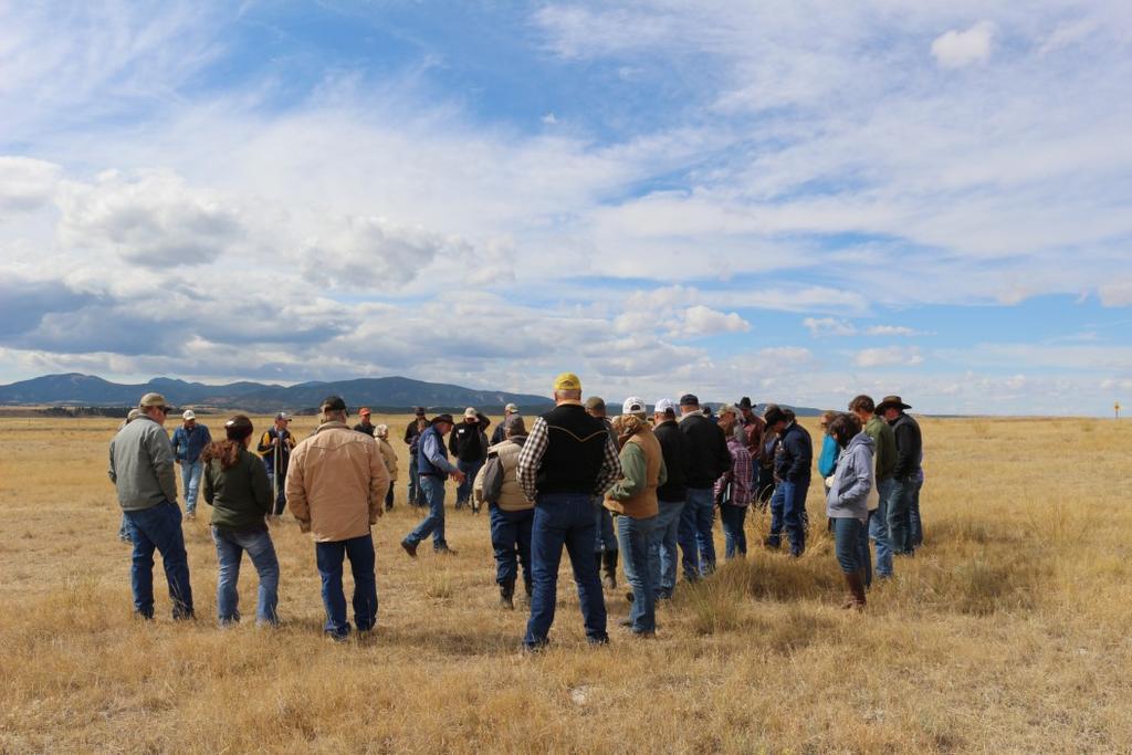 RANCHING Our work at Ranchers Stewardship Alliance has always focused on the importance of ranching families to their communities, wildlife, and the world.