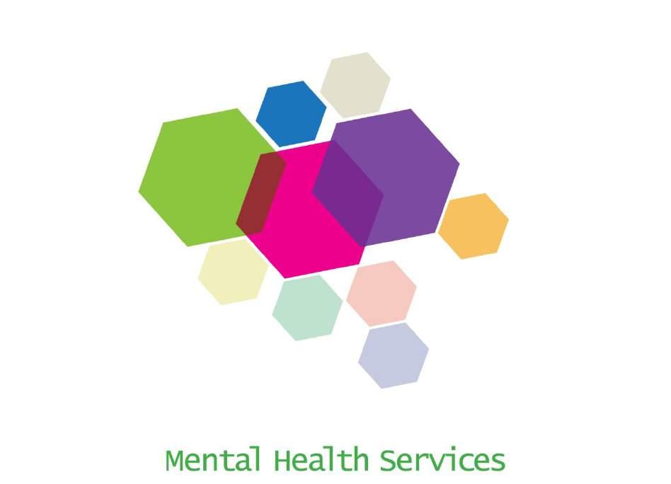 General Practitioner Information Pack Better Access Initiative Access to Allied Psychological Services (ATAPS) Partners in Recovery (PIR) Mental Health Resources and Support Services First floor,