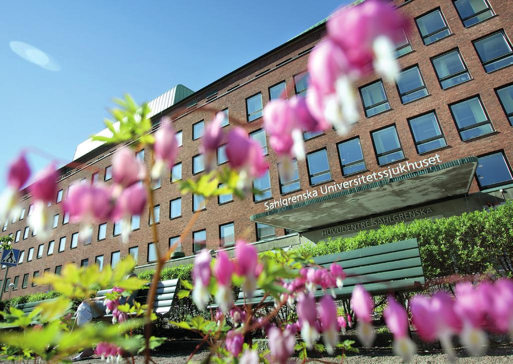2 FLOW-i the only choice for high risk patients There are two Swedish hospitals (Lund University Hospital and Sahlgrenska University Hospital) with cardiothoracic centers where heart and lung