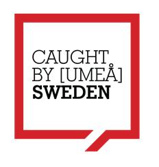 Artists Caught by [Umeå] Competition Terms & Conditions About Umeå is located about 600 km north of Stockholm and about 400 km south of the Arctic Circle.