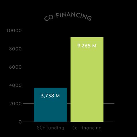 Figure 4: Instruments in the GCF portfolio and co-financing 42. More details on the projects and programmes approved to receive GCF funding as at 30 April 2018 are provided in annex VII.