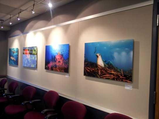 With work ranging from traditional to contemporary, Now Showing compliments any corporate setting. For more information, please visit ArtsKC.
