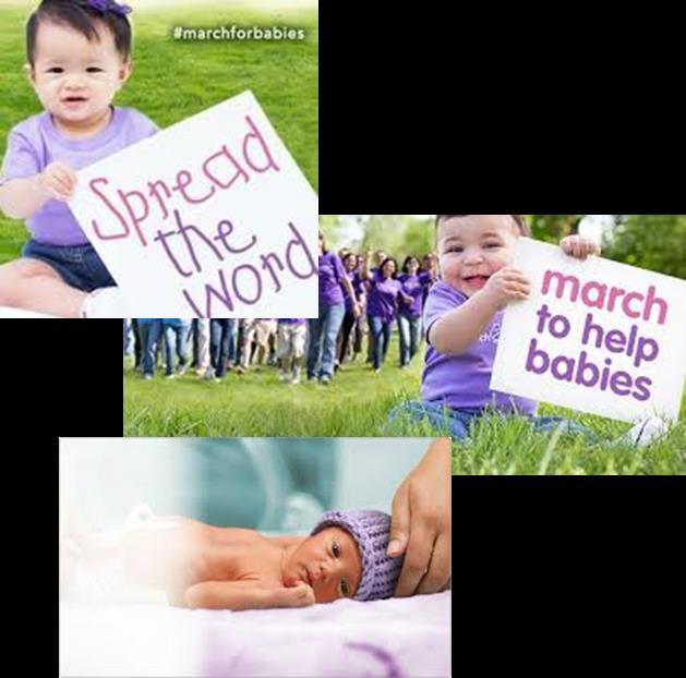A Successful Community Partnership March of Dimes Foundation defines a
