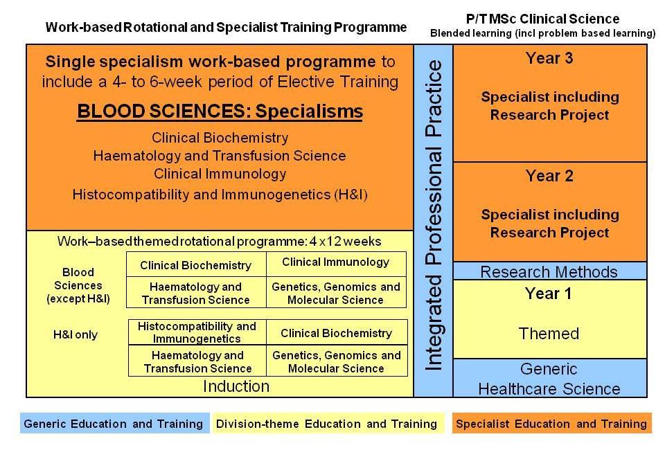 STP WORK-BASED TRAINING IN HISTOCOMPATIBILITY AND IMMUNOGENETICS The diagram below provides an overview of the programme each trainee in Histocompatibility and Immunogenetics will follow: Modernising
