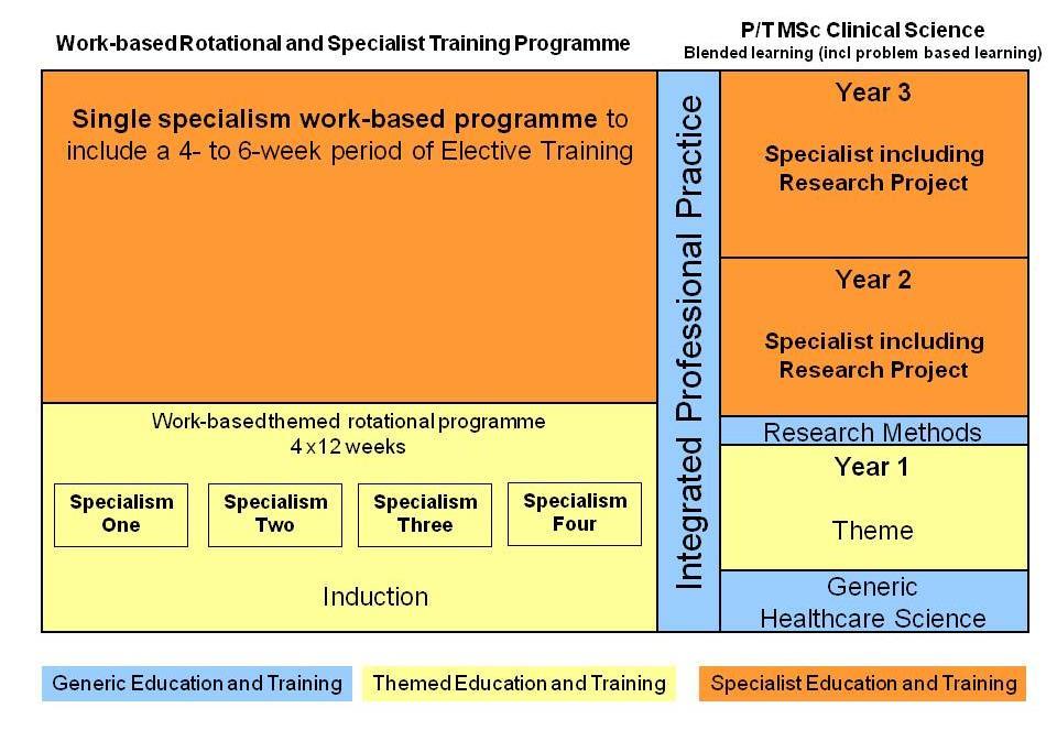 Modernising Scientific Careers: Scientist Training Programme (STP): Diagrammatic representation of